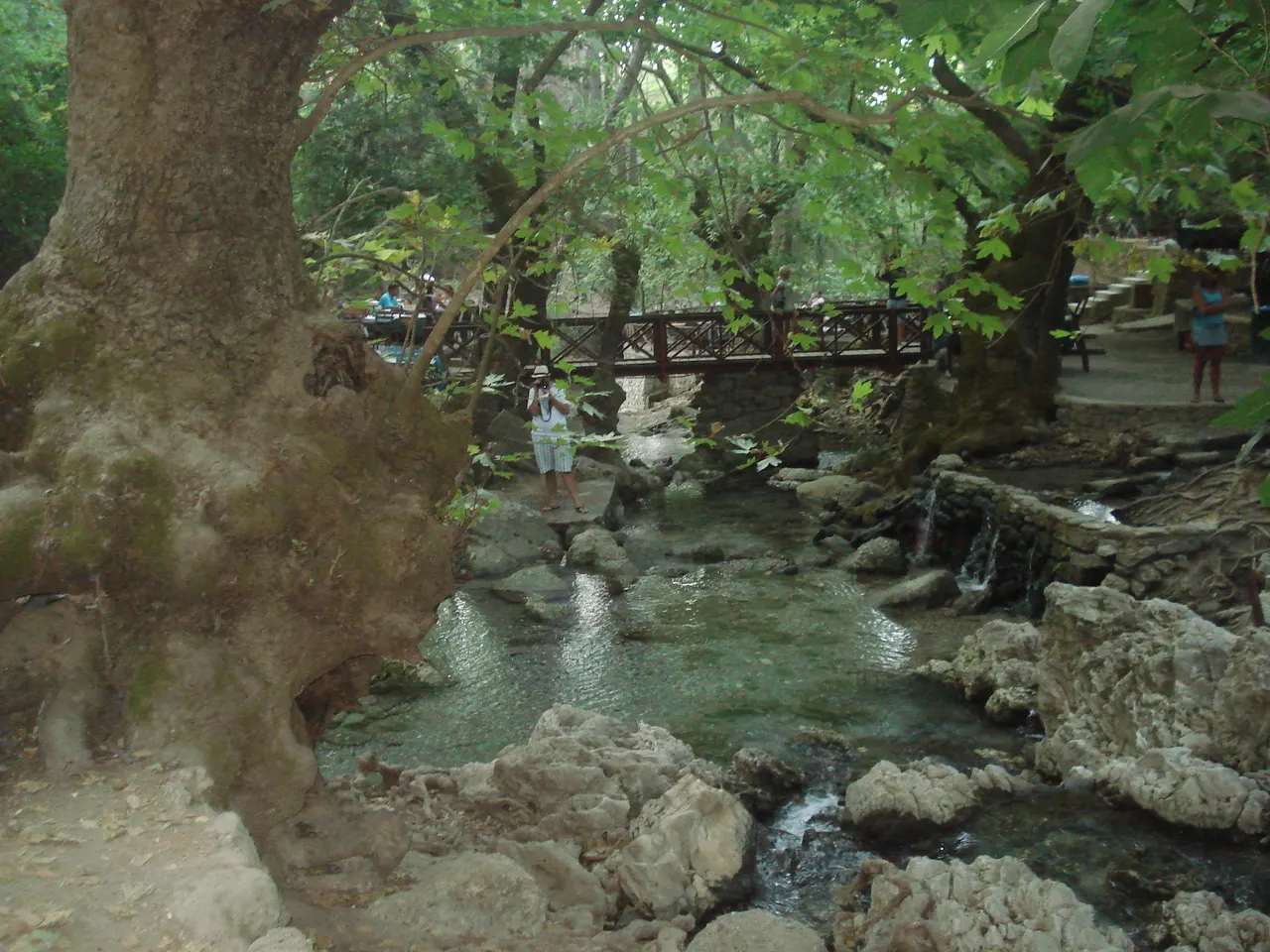 Seven springs trees and lake